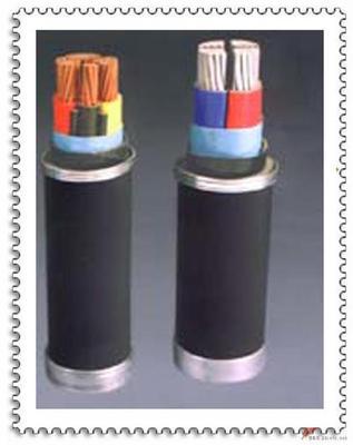 深度解析 銅芯交聯(lián)聚乙烯絕緣聚乙烯護套電力電纜YJV
