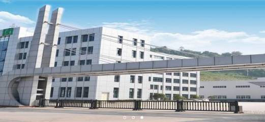 重慶市電纜行業(yè) 山城脈絡(luò)，賦能發(fā)展新篇章